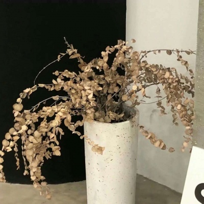 兽设Q版设计教程FurryQQ群